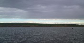 Movilita-Inceputuri.....